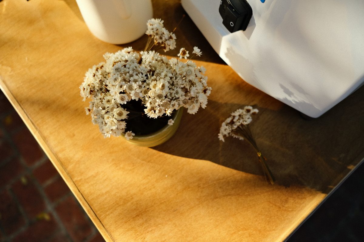 The Garden Coffee Co. botanical details — dried daisies and wooden cart setup for a birthday celebration